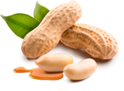 Mr. Tom Zutaten-Abbildung Peanuts in Caramel